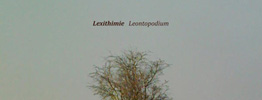 RB077 - Lexithimie - Leontopodium