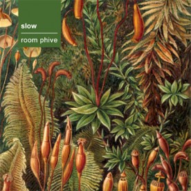 RB049 - slow - room phive